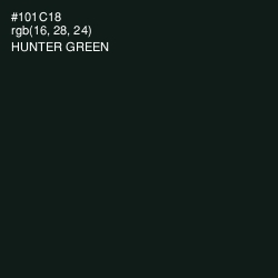 #101C18 - Hunter Green Color Image